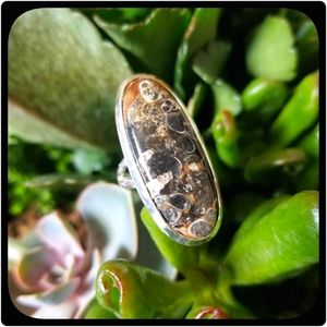 Turritella Fossil Agate Sterling Silver